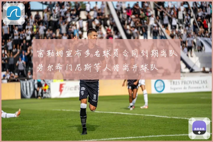 富勒姆宣布多名球员合同到期离队劳尔希门尼斯等人将离开球队